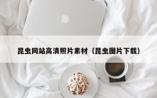 衢州昆虫网站高清照片素材（昆虫图片下载）